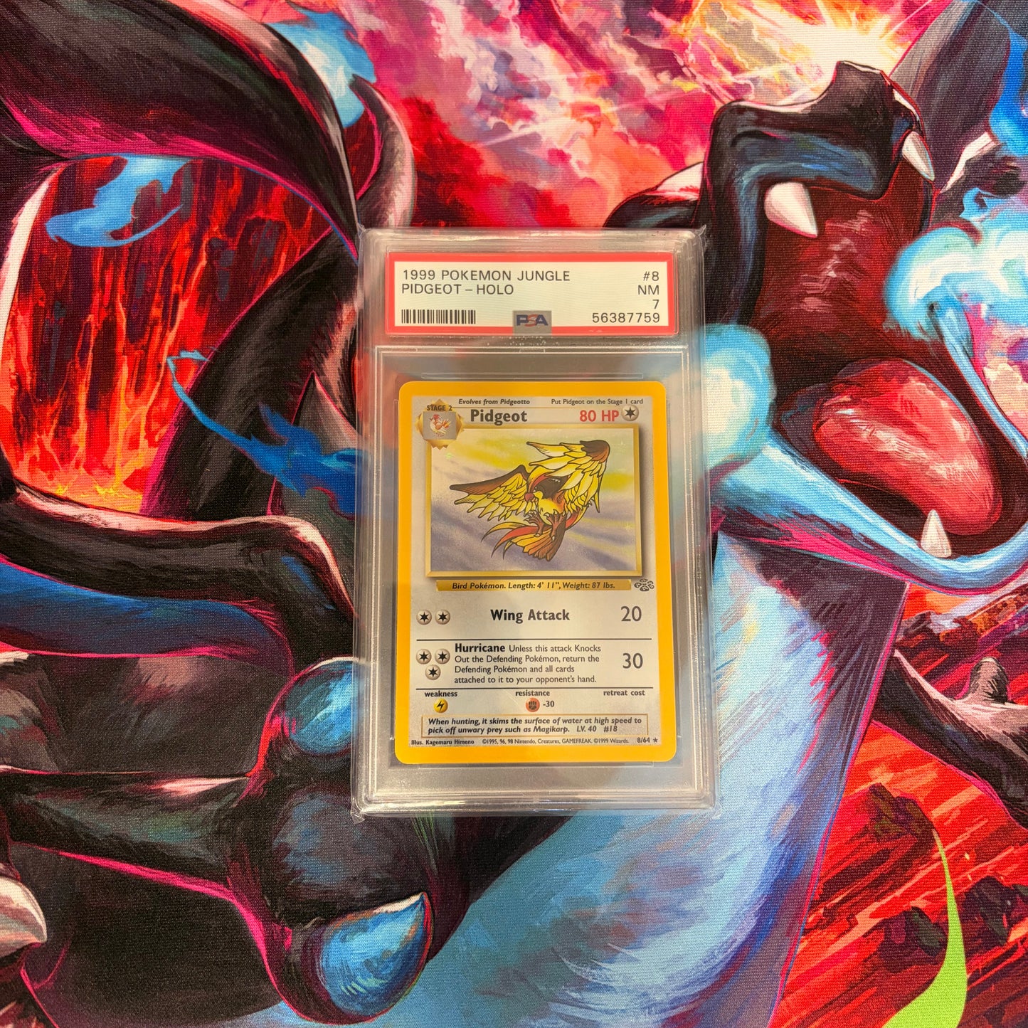 Pidgeot - 1999 Pokemon Jungle - PSA 7 (Holofoil)